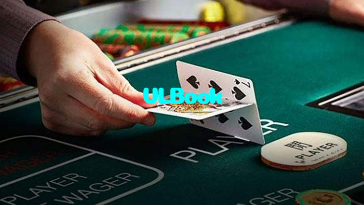 VLBook